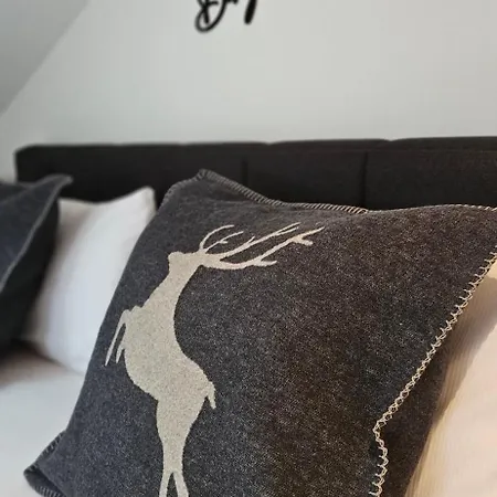 Cielo Mountain - Ringberg Apartman *